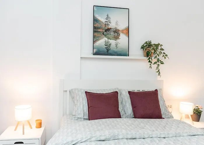 Апартаменты Victoriei Plaza