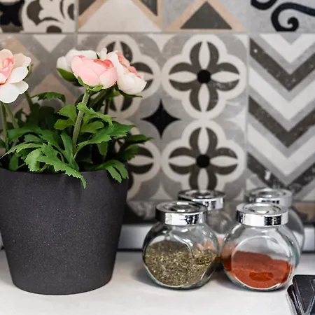 Lägenhet Victoriei Plaza Timişoara