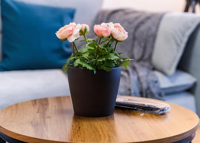 Lägenhet Victoriei Plaza Timişoara